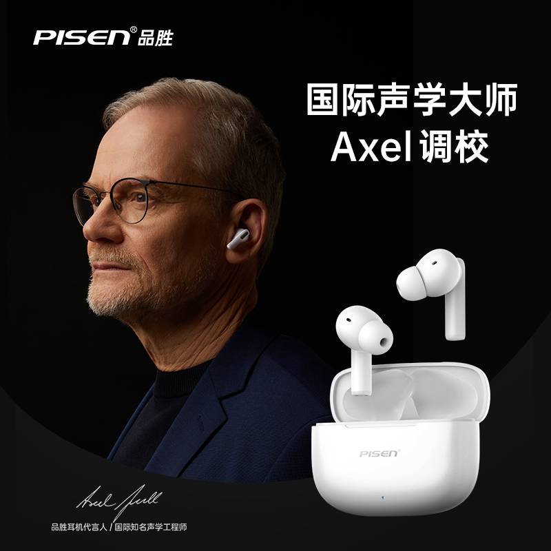 某某PISEN P2降噪真无线蓝牙耳机（BHD-TW13）